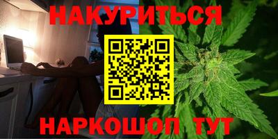индика Моздок