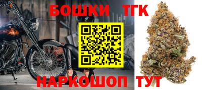 индика Моздок