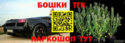 индика Моздок