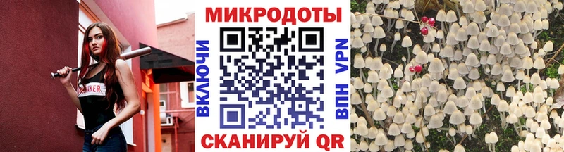 Псилоцибиновые грибы прущие грибы  площадка формула  Великий Устюг  купить  