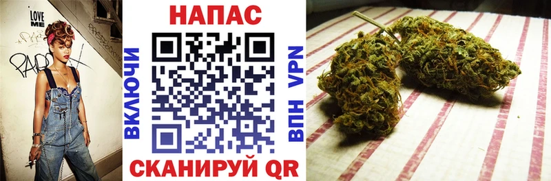 Бошки марихуана план  ссылка на мегу ссылки  Великий Устюг 